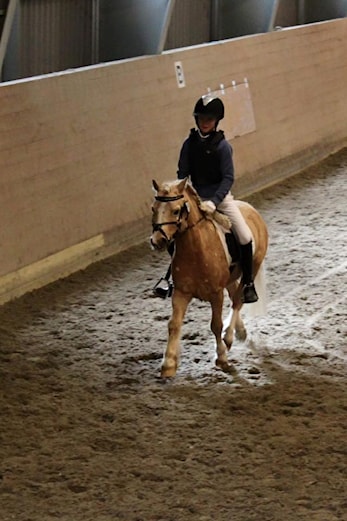 Dressur debutanter :)